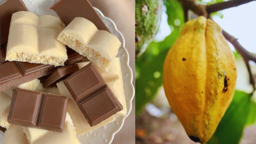 How Is Chocolate Made In India