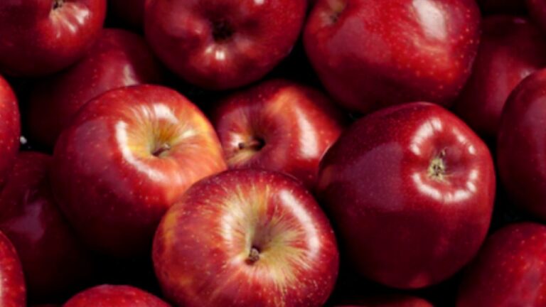7 Science-Backed Reasons to Eat 2 Apples Every Day