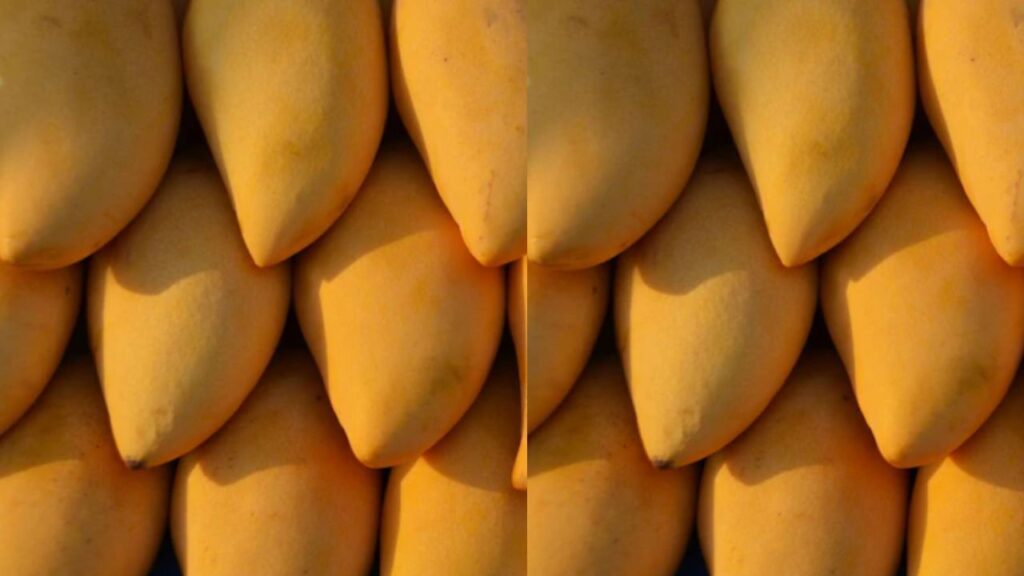 Can Diabetic Patients Eat Mangoes