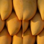 Can Diabetic Patients Eat Mangoes