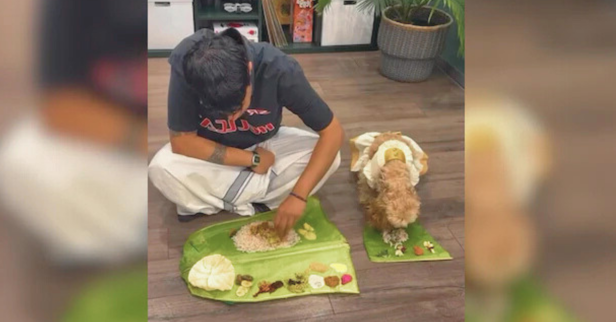 “Cutest Onam Post”: Dog Relishes Mini Sadhya in Viral Video, Wins Hearts Online